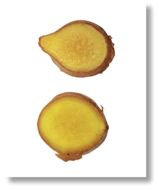 pagenumber_ebook=17,pagenumber_book=4