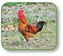 pagenumber_ebook=153,pagenumber_book=140