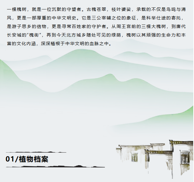 image.png?v=1766278387980