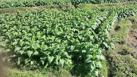 图片 4 图片 4.png