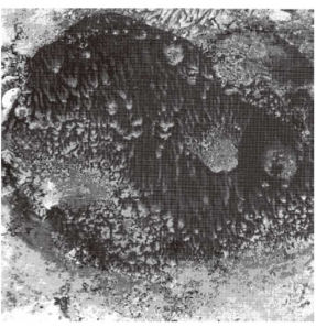 pagenumber_ebook=68,pagenumber_book=61