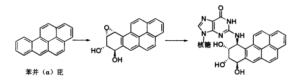 pagenumber_ebook=557,pagenumber_book=539