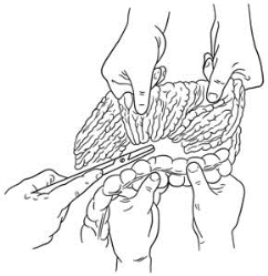 pagenumber_ebook=247,pagenumber_book=232