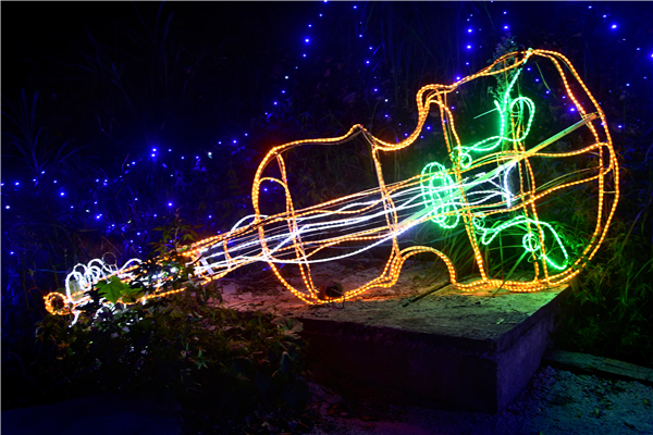 aa20--DSC_2274 aa20--DSC_2274.jpg