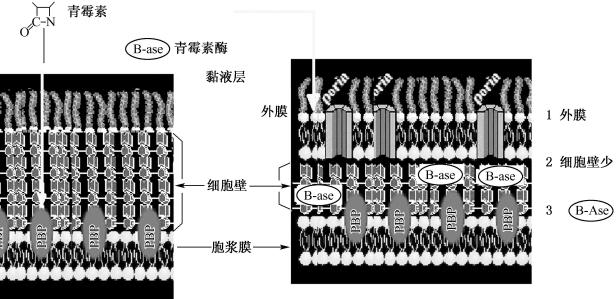 width=536,height=260,dpi=110