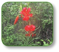 pagenumber_ebook=281,pagenumber_book=268