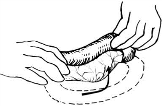 pagenumber_ebook=567,pagenumber_book=552