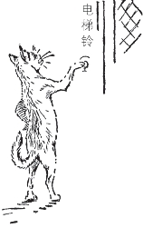 pagenumber_ebook=64,pagenumber_book=56