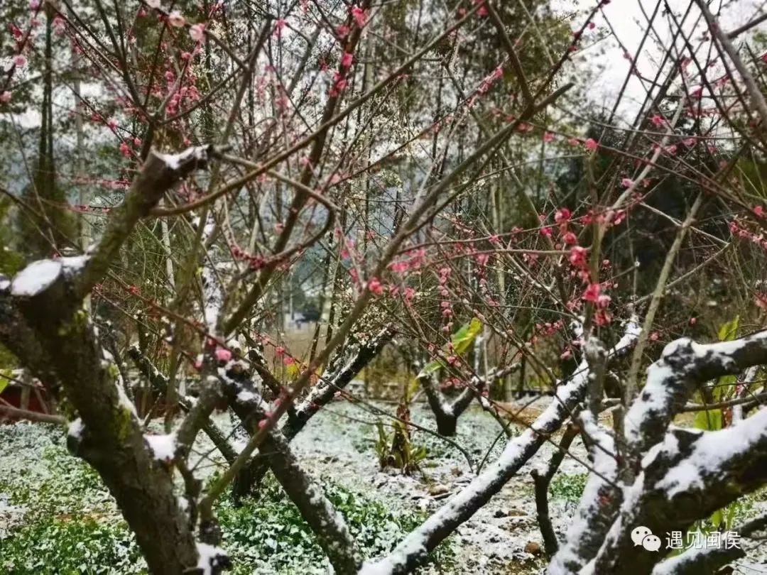 微信图片_20220225091823 微信图片_20220225091823.jpg