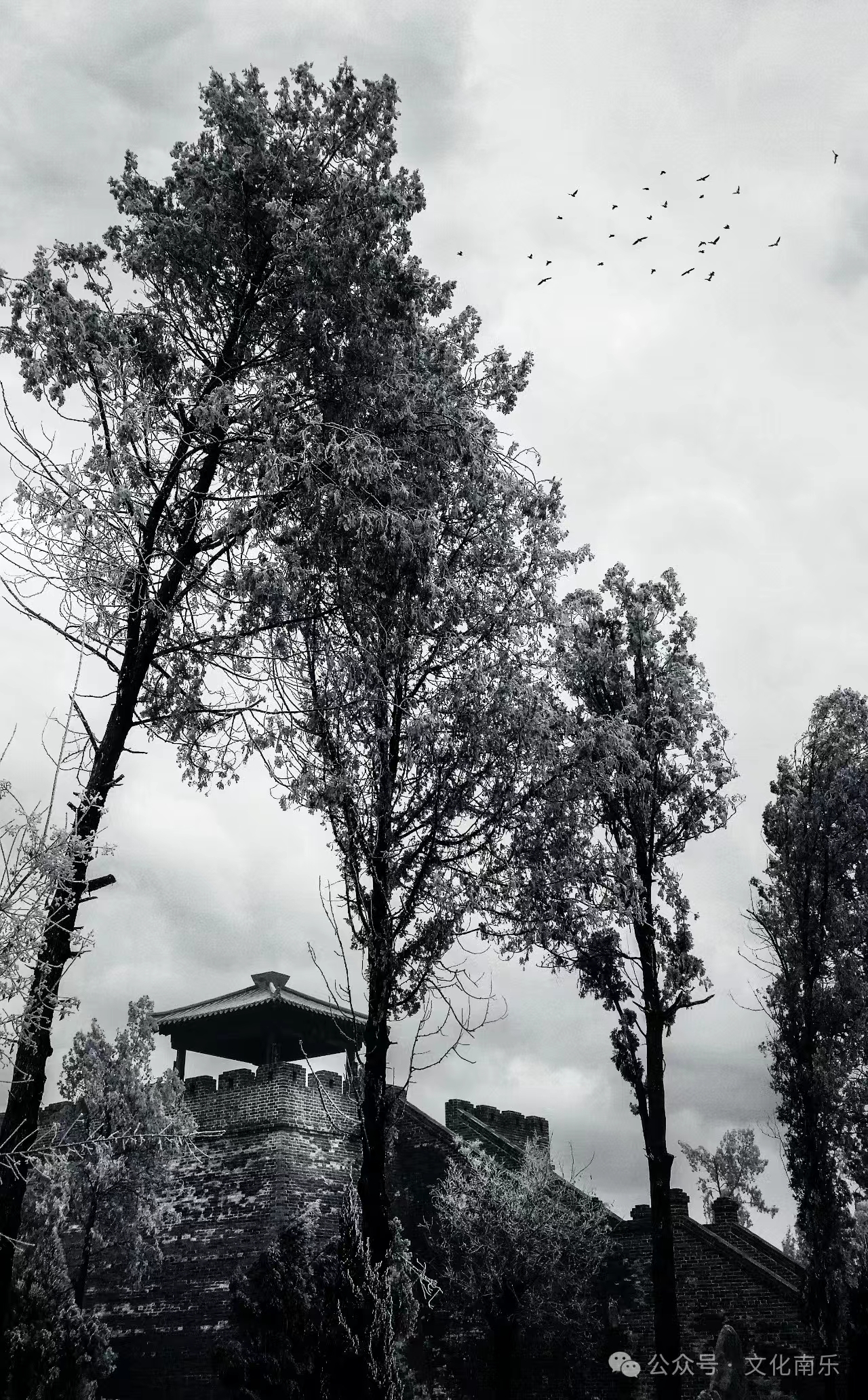 微信图片_20240717093028 微信图片_20240717093028.jpg