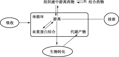 width=360,height=173,dpi=110