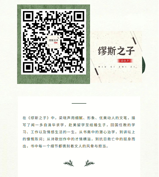 image.png?v=1770178027125