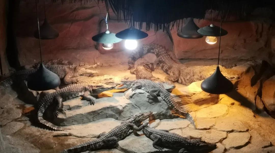 微信图片_20210930103848 微信图片_20210930103848.jpg