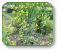 pagenumber_ebook=59,pagenumber_book=46