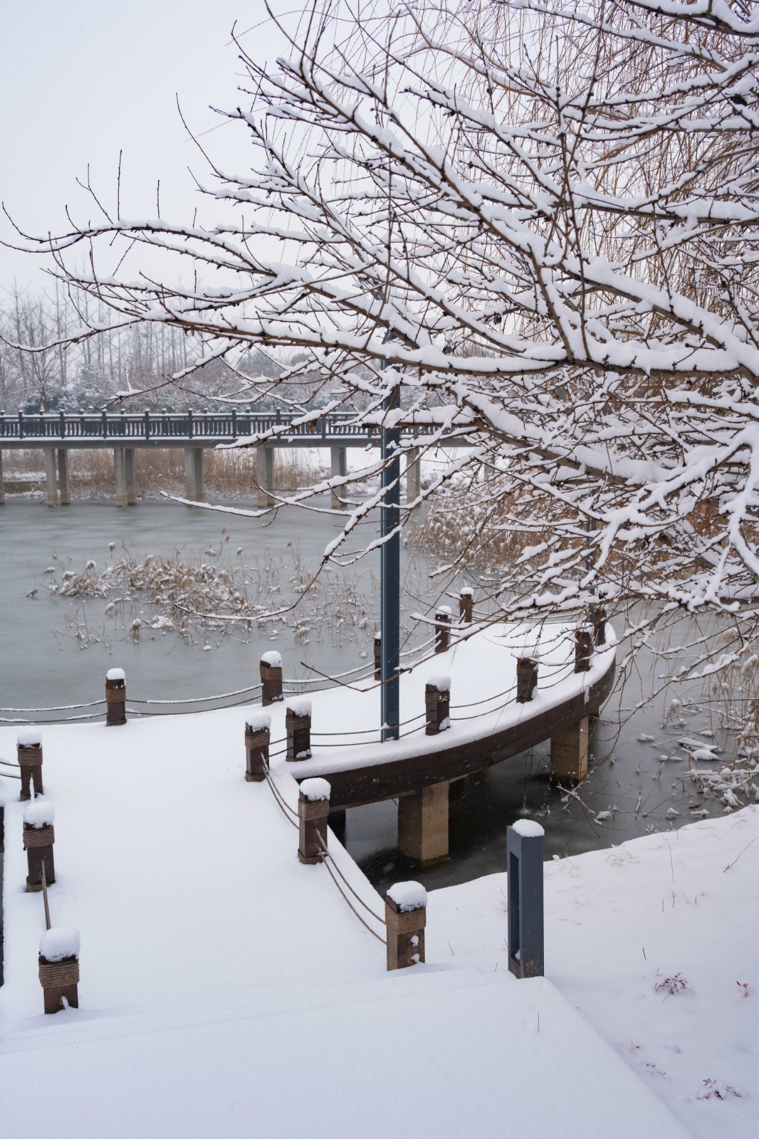 2022.1.22南乐森林公园05--高中利