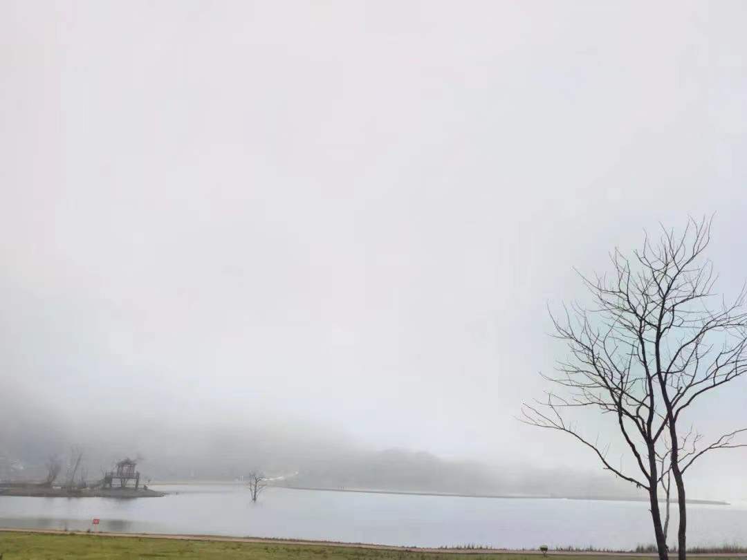 f98d8cd024b7187267e5434a8a57407 f98d8cd024b7187267e5434a8a57407.jpg?v=1762743078123