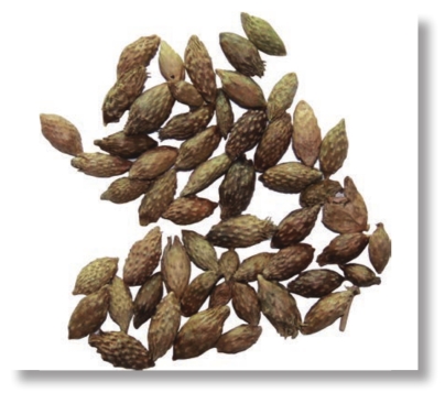 pagenumber_ebook=25,pagenumber_book=12