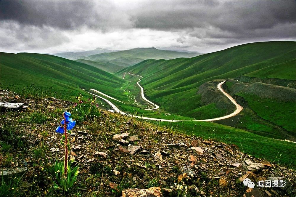 11 11.jpg?v=1765879816335