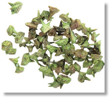 pagenumber_ebook=237,pagenumber_book=224