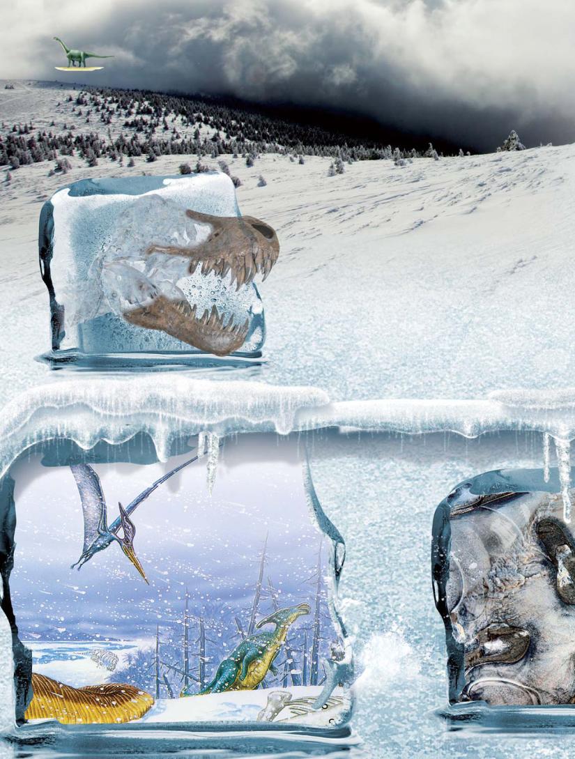 pagenumber_ebook=25,pagenumber_book=14