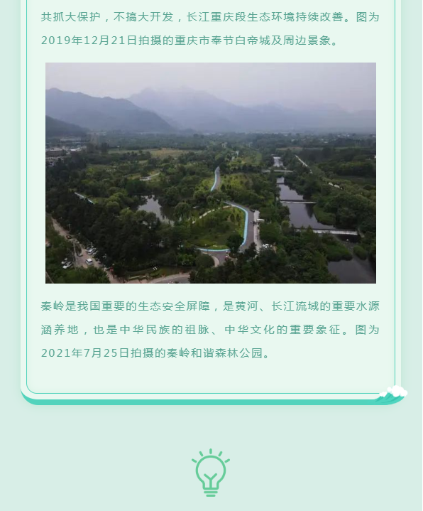 image.png?v=1754275592647