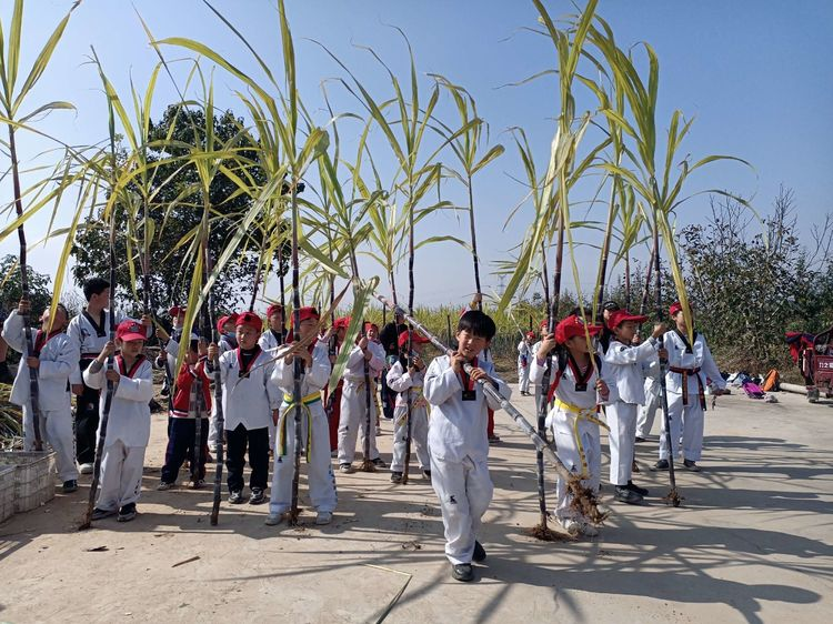 图片 6 图片 6.png