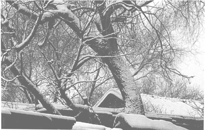 pagenumber_ebook=143,pagenumber_book=140