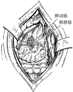 pagenumber_ebook=507,pagenumber_book=492