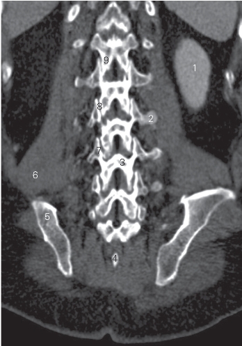 pagenumber_ebook=29,pagenumber_book=20