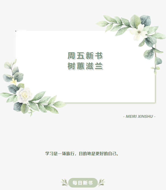 image.png?v=1749378825490