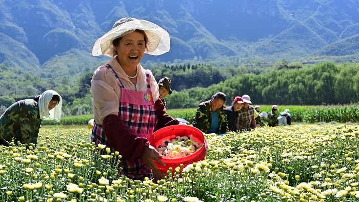 新产业,毛海胜 新产业,毛海胜.jpg