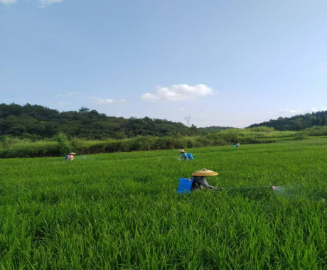 图片 8 图片 8.png