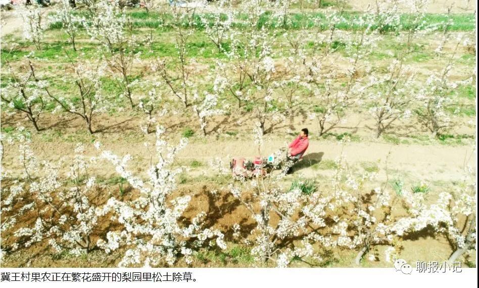 微信图片_20210420094150 微信图片_20210420094150.jpg