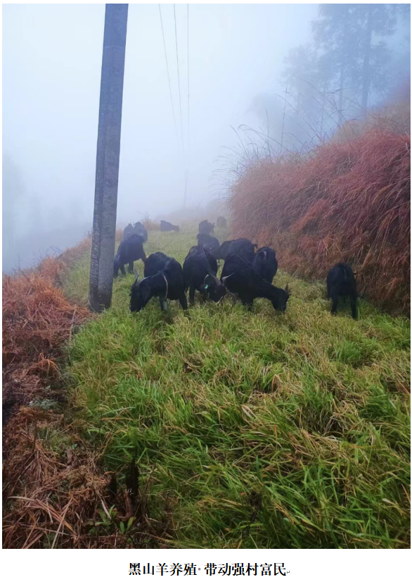 1732351532165 1732351532165.png