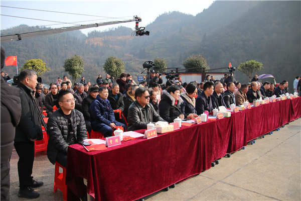 IMG_8312 IMG_8312.jpg