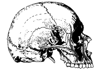 pagenumber_ebook=60,pagenumber_book=51