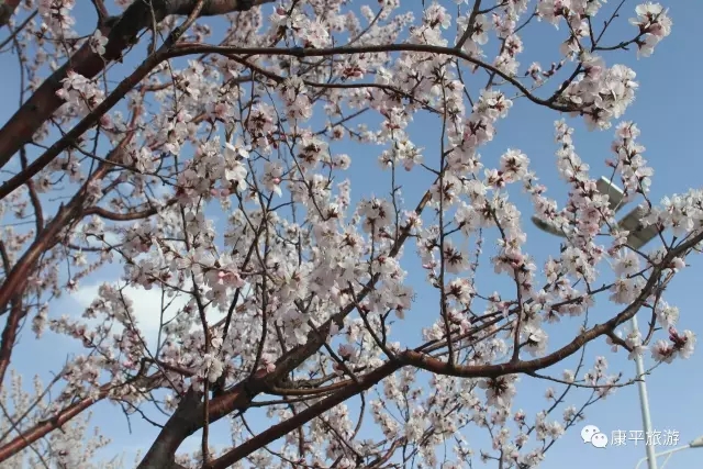 640.webp (1) 640.webp (1)