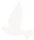 90960b5269f4d68cfcaf7043ca12a5d1.png