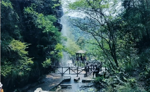 微信图片_20200424001445 微信图片_20200424001445.png