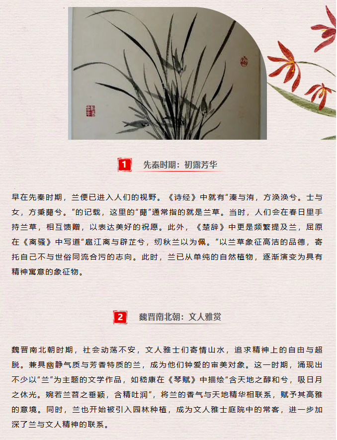 image.png?v=1762124792502