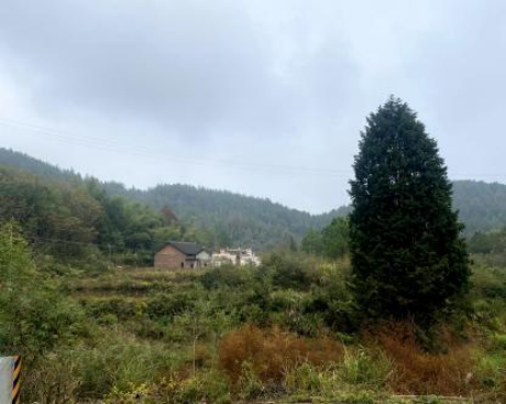 图片 8 图片 8.png