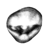 pagenumber_ebook=28,pagenumber_book=19