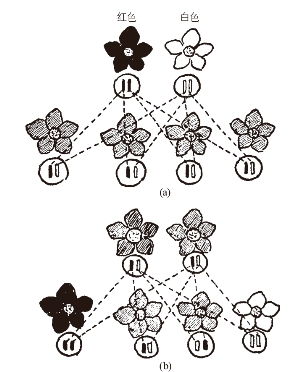 pagenumber_ebook=247,pagenumber_book=243