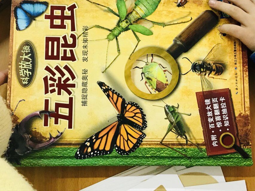 QQ图片20191113142627