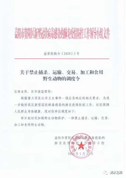 66 66.jpg?v=1765898169804