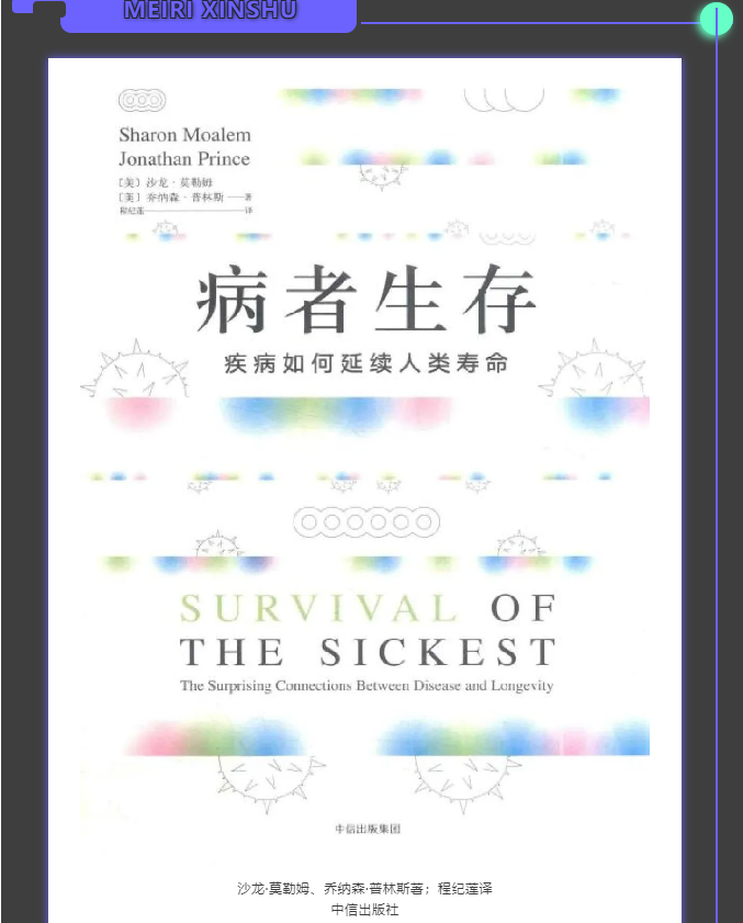 image image.png?v=1763569361588