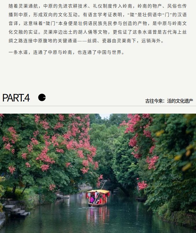 image.png?v=1790286215253