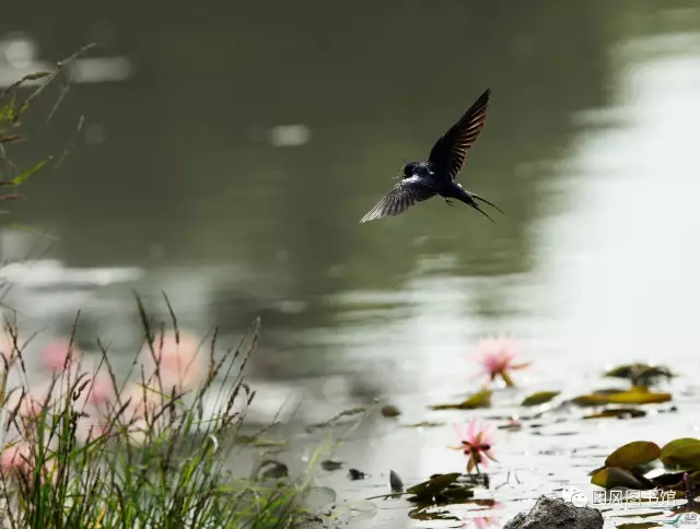 20170519165611_tt1hcnu6l8 20170519165611_tt1hcnu6l8.png?v=1773792428663