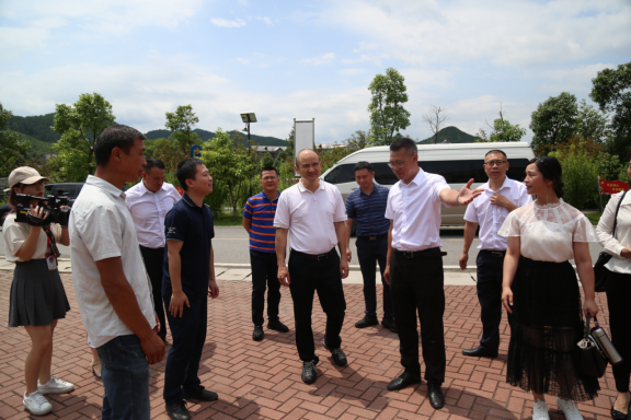 20200604省厅调研组深入桂阳县调研文化和旅游公共服务体系建设工作377