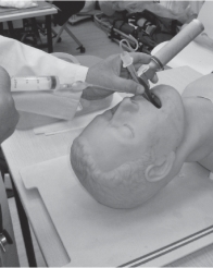 pagenumber_ebook=200,pagenumber_book=192